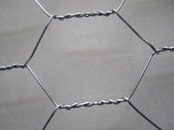 Hot Dipped Galv. Steel Chicken Wire Netting
