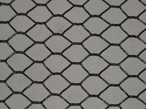 18 Gauge Black Vinyl Coated Chicken Wire Mesh: Processing, Features and  Roll Sizes