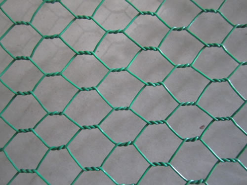 Hexagonal Mesh Chicken Netting