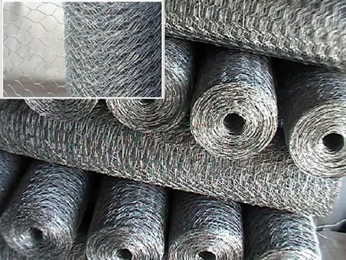 Galvanized Steel Chicken Netting Rolls