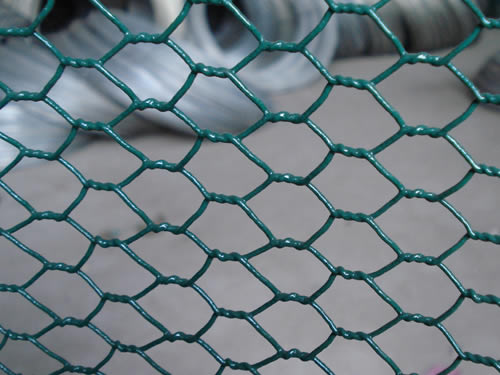 PVC Coated Chicken Wire Mesh - PVC Coated Wire Mesh After Weaving