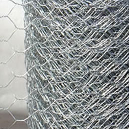 Stainless Steel Garden Wire Netting